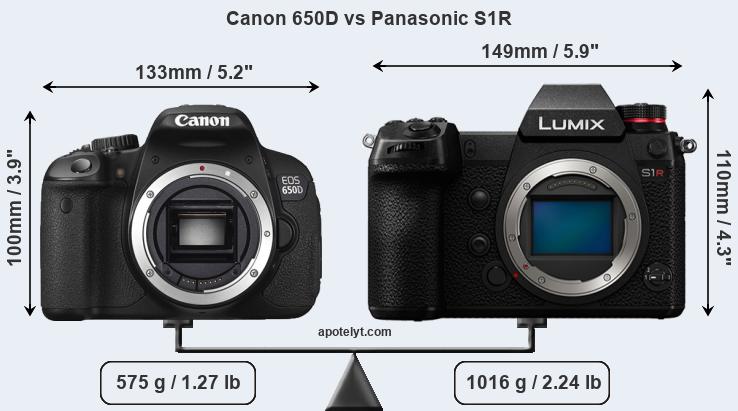 Size Canon 650D vs Panasonic S1R