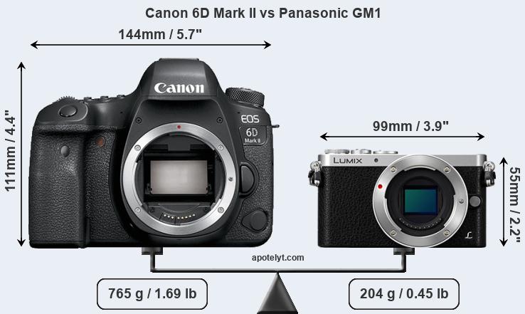 Size Canon 6D Mark II vs Panasonic GM1