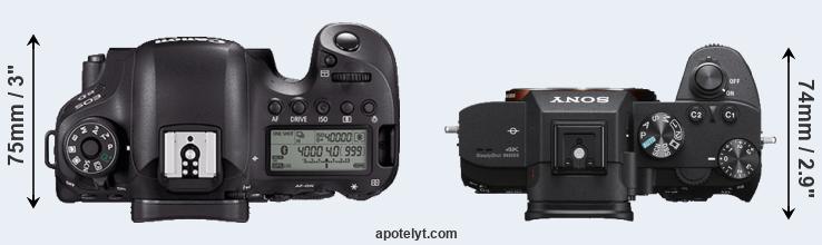 Canon 6D Mark vs Sony III Comparison Review