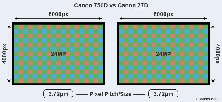 bedenken beven Ster Canon 750D vs Canon 77D Comparison Review