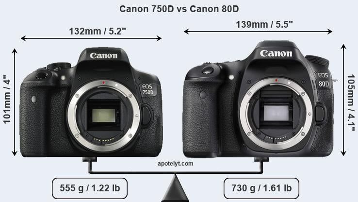 Size Canon 750D vs Canon 80D