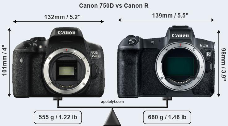Size Canon 750D vs Canon R
