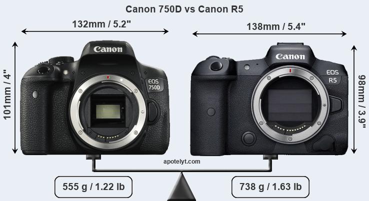Size Canon 750D vs Canon R5