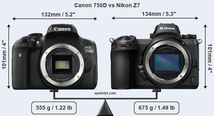 Size Canon 750D vs Nikon Z7