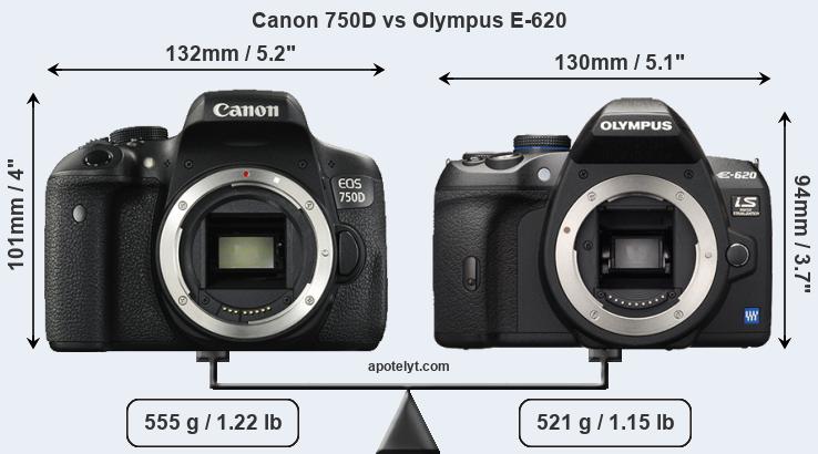 Size Canon 750D vs Olympus E-620