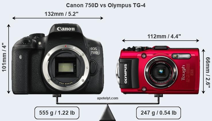 Size Canon 750D vs Olympus TG-4