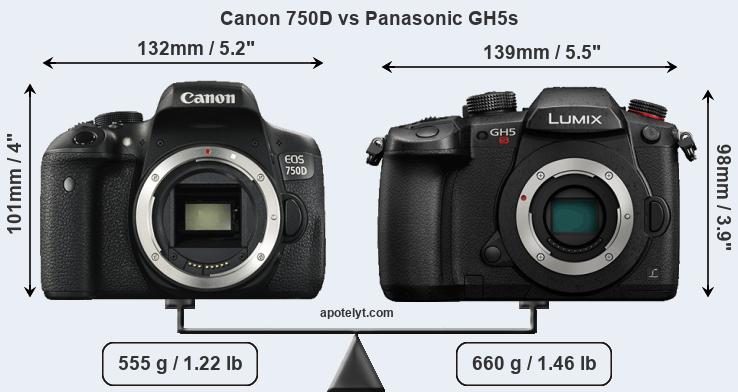 Size Canon 750D vs Panasonic GH5s