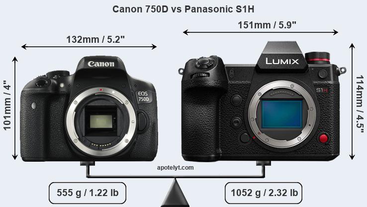Size Canon 750D vs Panasonic S1H