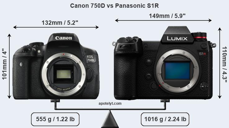 Size Canon 750D vs Panasonic S1R