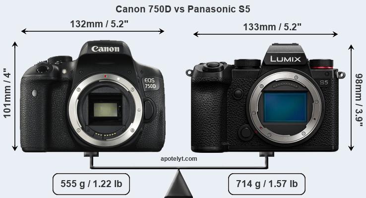 Size Canon 750D vs Panasonic S5