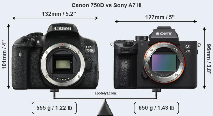 Size Canon 750D vs Sony A7 III