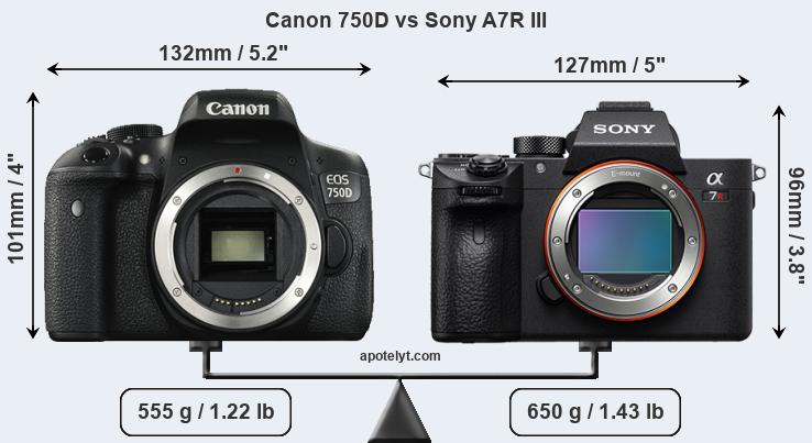 Size Canon 750D vs Sony A7R III