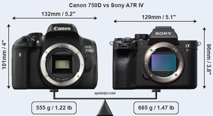 Size Canon 750D vs Sony A7R IV