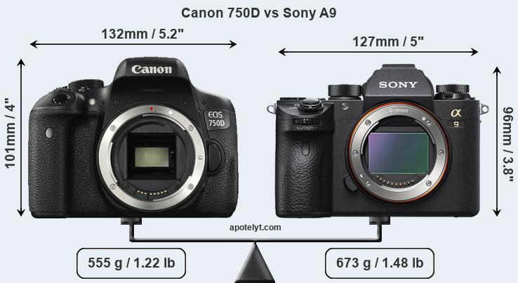Size Canon 750D vs Sony A9