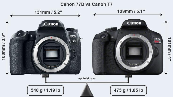 Size Canon 77D vs Canon T7