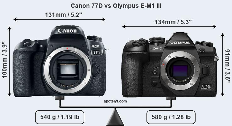 Size Canon 77D vs Olympus E-M1 III