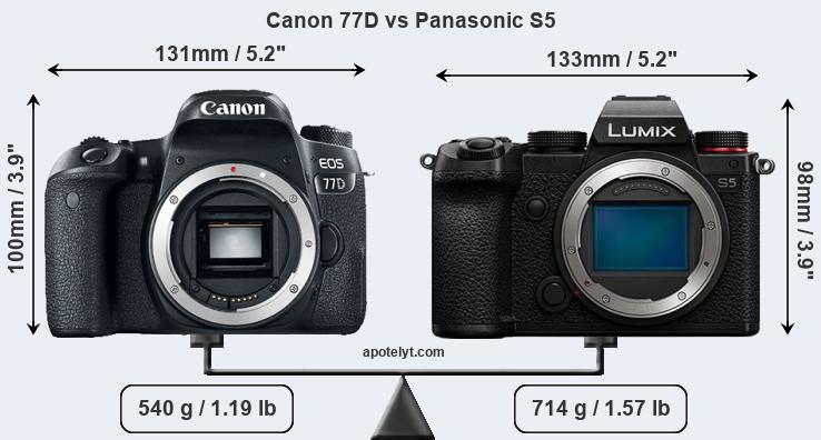 Size Canon 77D vs Panasonic S5