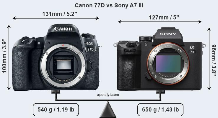Size Canon 77D vs Sony A7 III