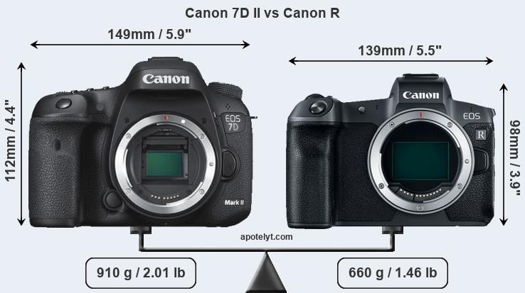 Size Canon 7D II vs Canon R