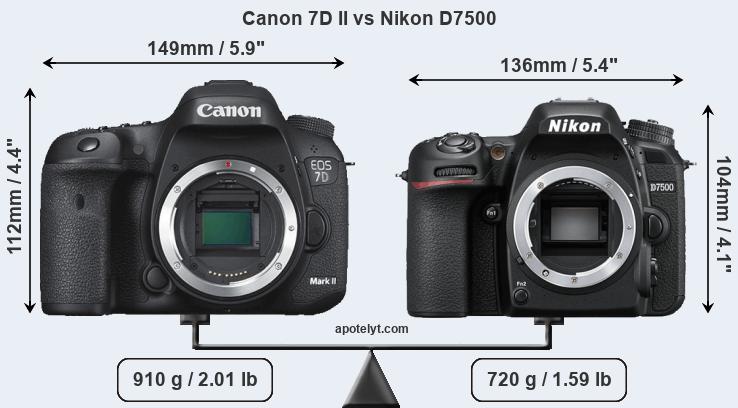 Size Canon 7D II vs Nikon D7500