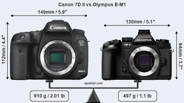 Size Canon 7D II vs Olympus E-M1