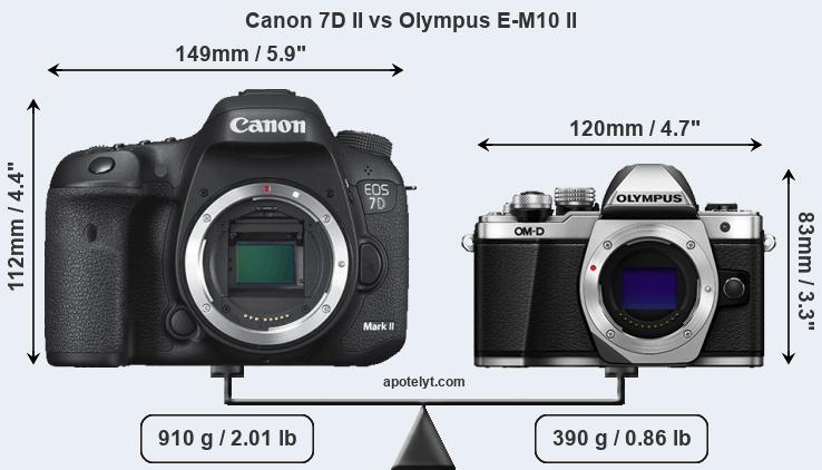 Size Canon 7D II vs Olympus E-M10 II