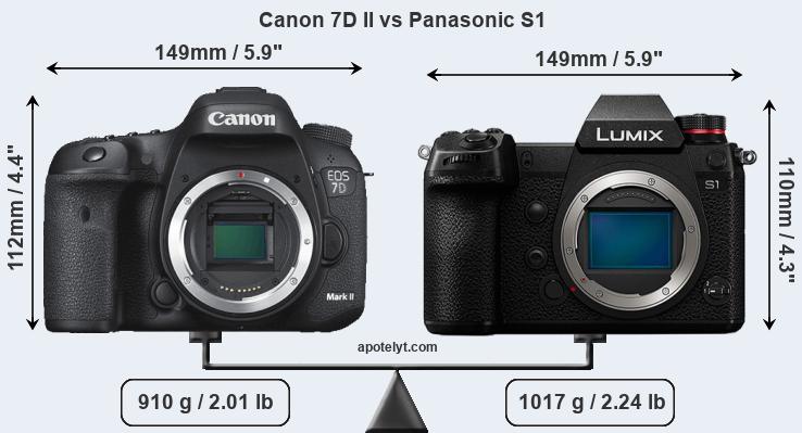Size Canon 7D II vs Panasonic S1