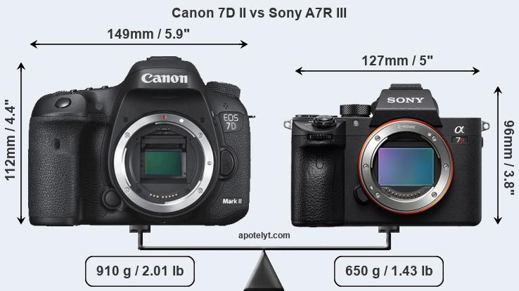 Size Canon 7D II vs Sony A7R III