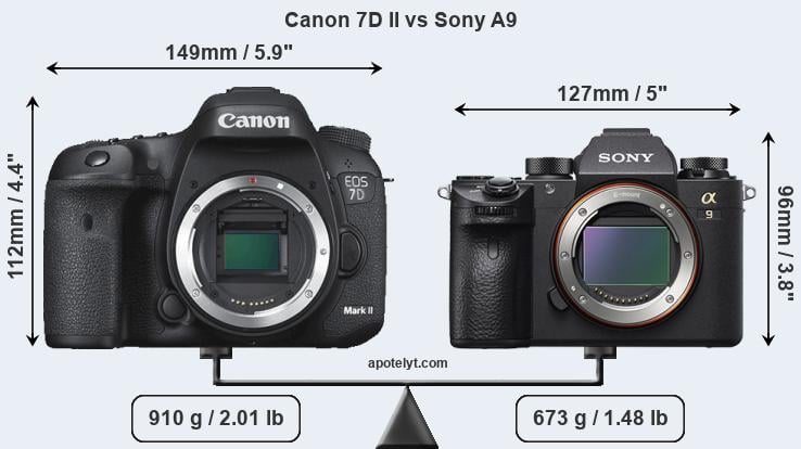 Size Canon 7D II vs Sony A9