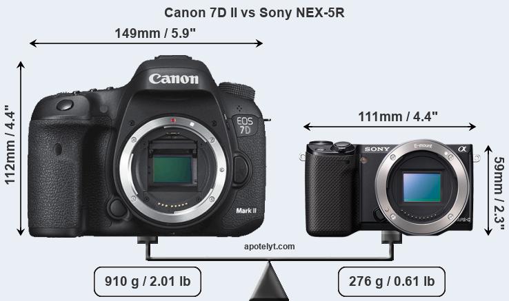 Size Canon 7D II vs Sony NEX-5R