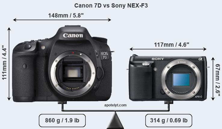 Size Canon 7D vs Sony NEX-F3