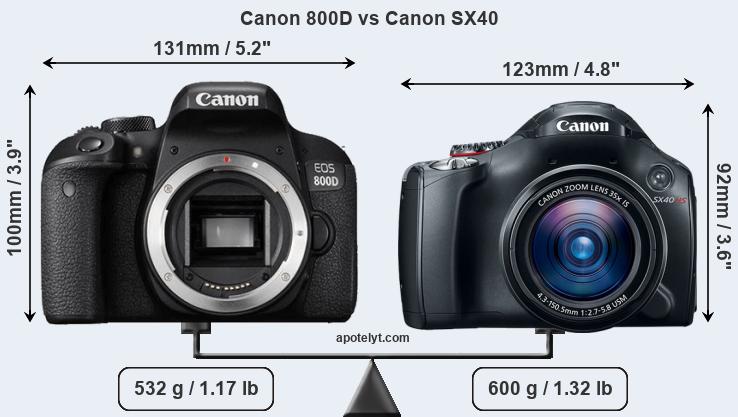 Size Canon 800D vs Canon SX40