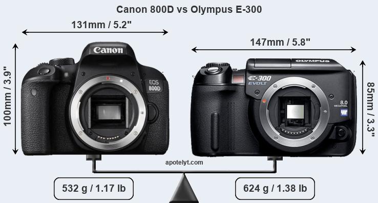 Size Canon 800D vs Olympus E-300