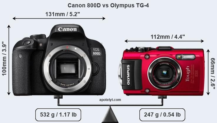 Size Canon 800D vs Olympus TG-4
