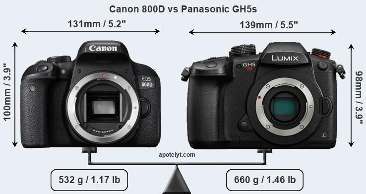 Size Canon 800D vs Panasonic GH5s