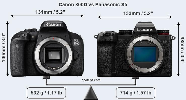 Size Canon 800D vs Panasonic S5