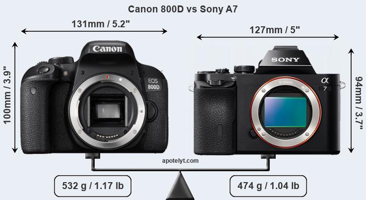 Size Canon 800D vs Sony A7