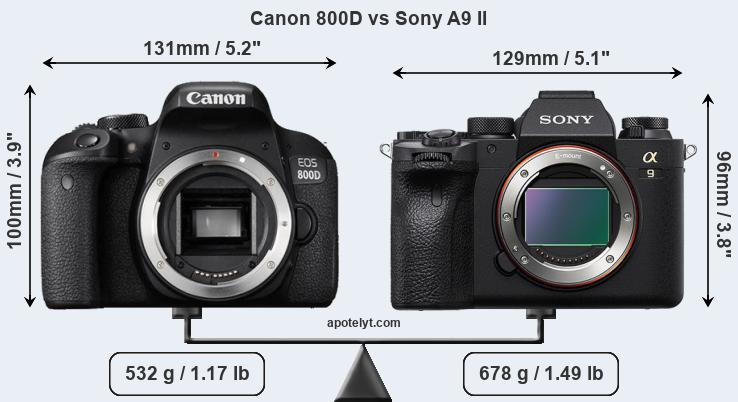 Size Canon 800D vs Sony A9 II