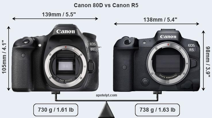 Size Canon 80D vs Canon R5