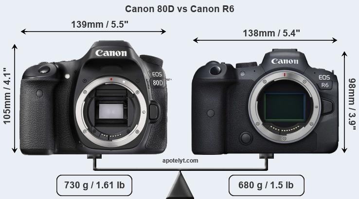 Size Canon 80D vs Canon R6