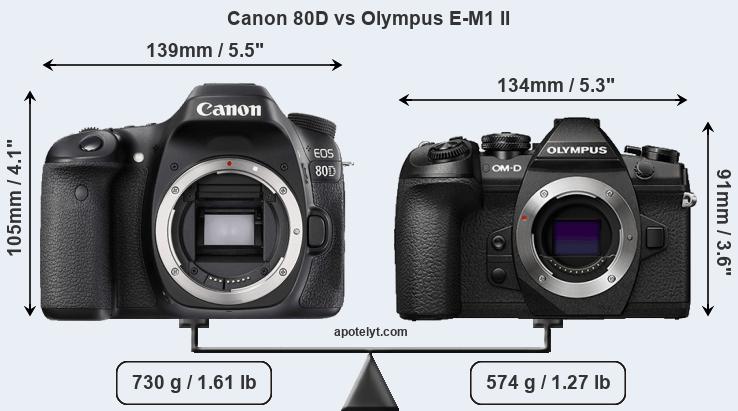 Size Canon 80D vs Olympus E-M1 II