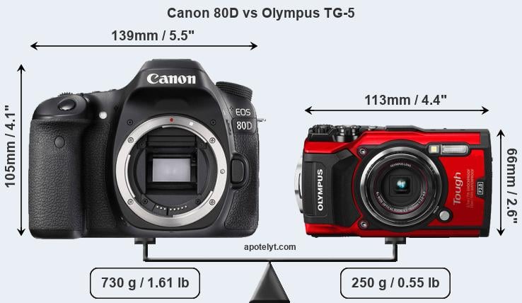 Size Canon 80D vs Olympus TG-5