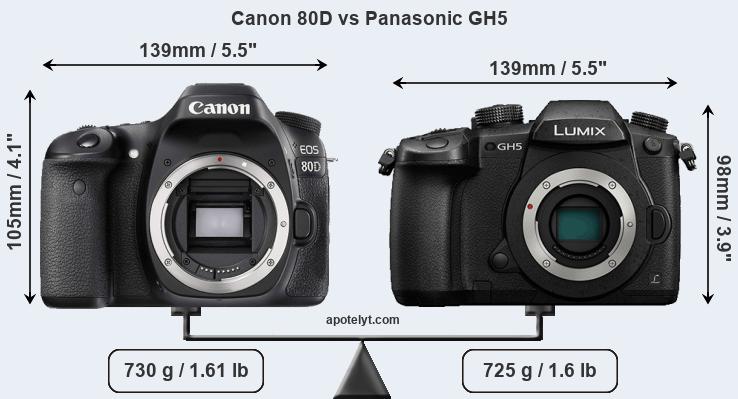 Size Canon 80D vs Panasonic GH5