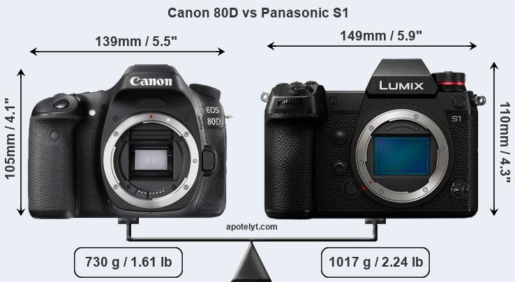 Size Canon 80D vs Panasonic S1