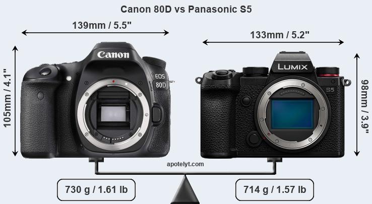 Size Canon 80D vs Panasonic S5