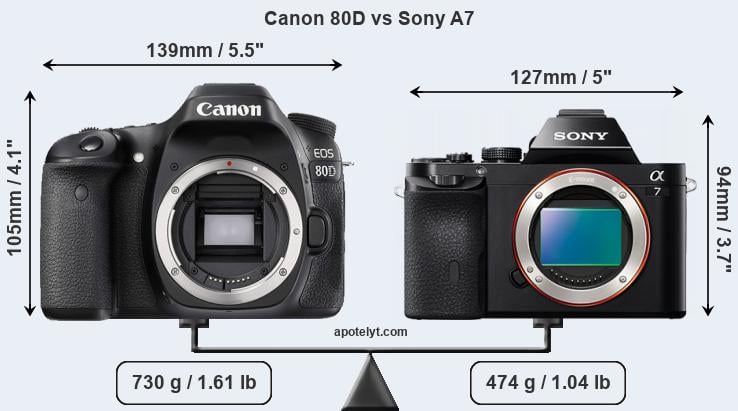 Size Canon 80D vs Sony A7