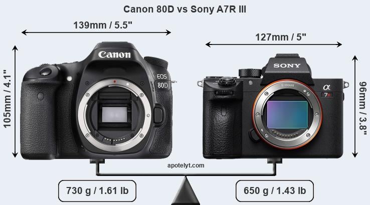 Size Canon 80D vs Sony A7R III