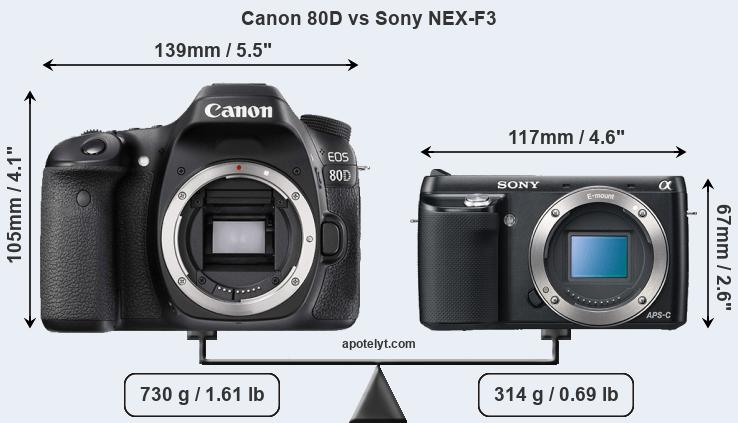 Size Canon 80D vs Sony NEX-F3