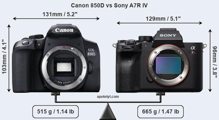 Size Canon 850D vs Sony A7R IV
