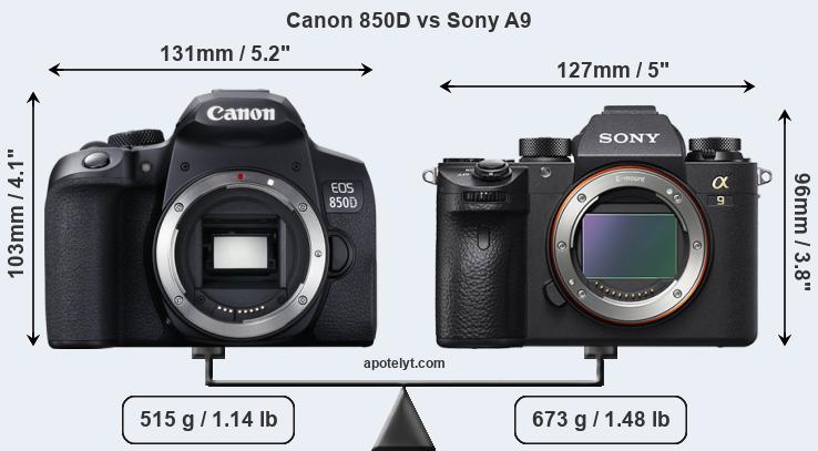 Size Canon 850D vs Sony A9